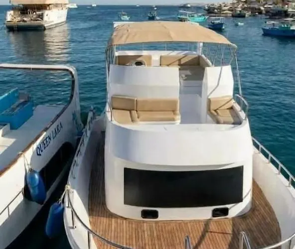 Botel Queen Laila Boat Private Snorkeling Trip In Hurgahada *